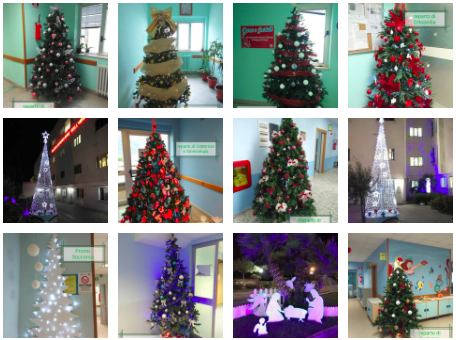 All’ospedale di Sapri si accendono gli alberi di Natale, uno in ogni reparto