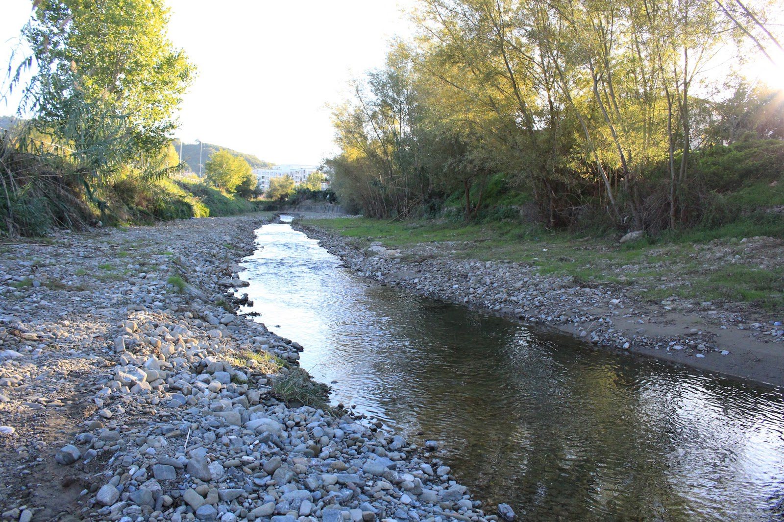 Cilento, sversamento illecito nel fiume: azienda nei guai