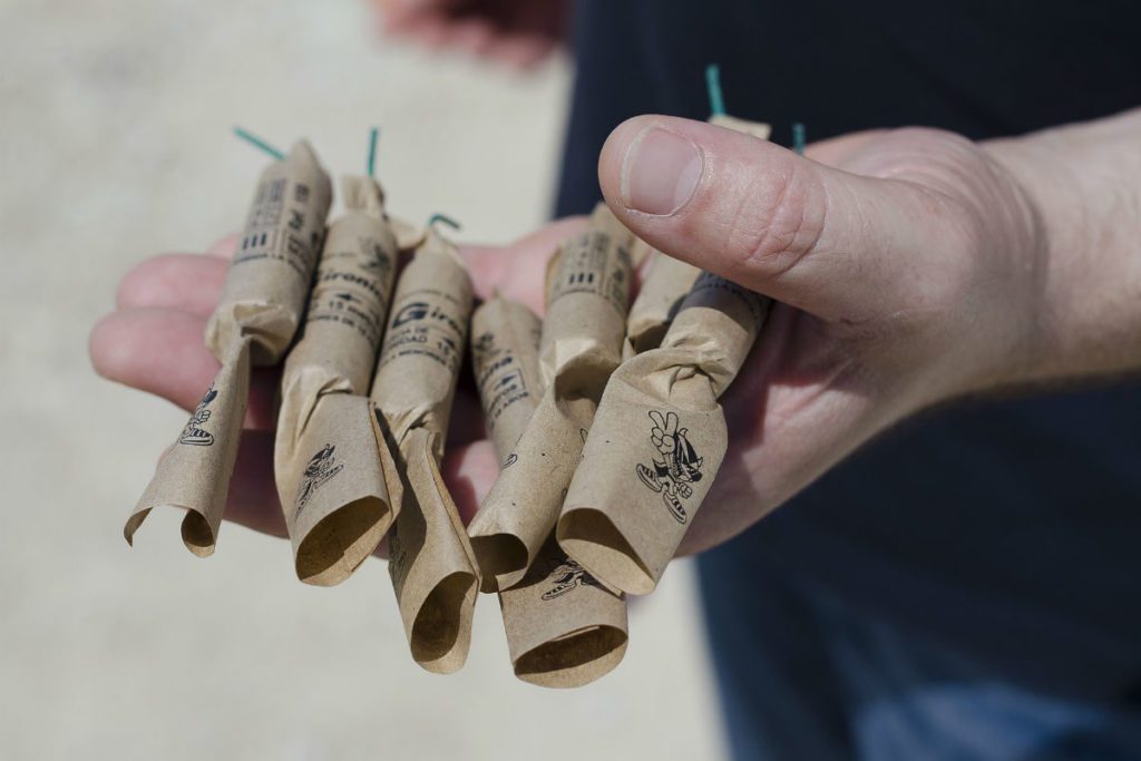 Botti di Natale e Capodanno, come proteggere gli animali dai rumori delle feste