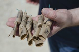 Botti di Natale e Capodanno, come proteggere gli animali dai rumori delle feste