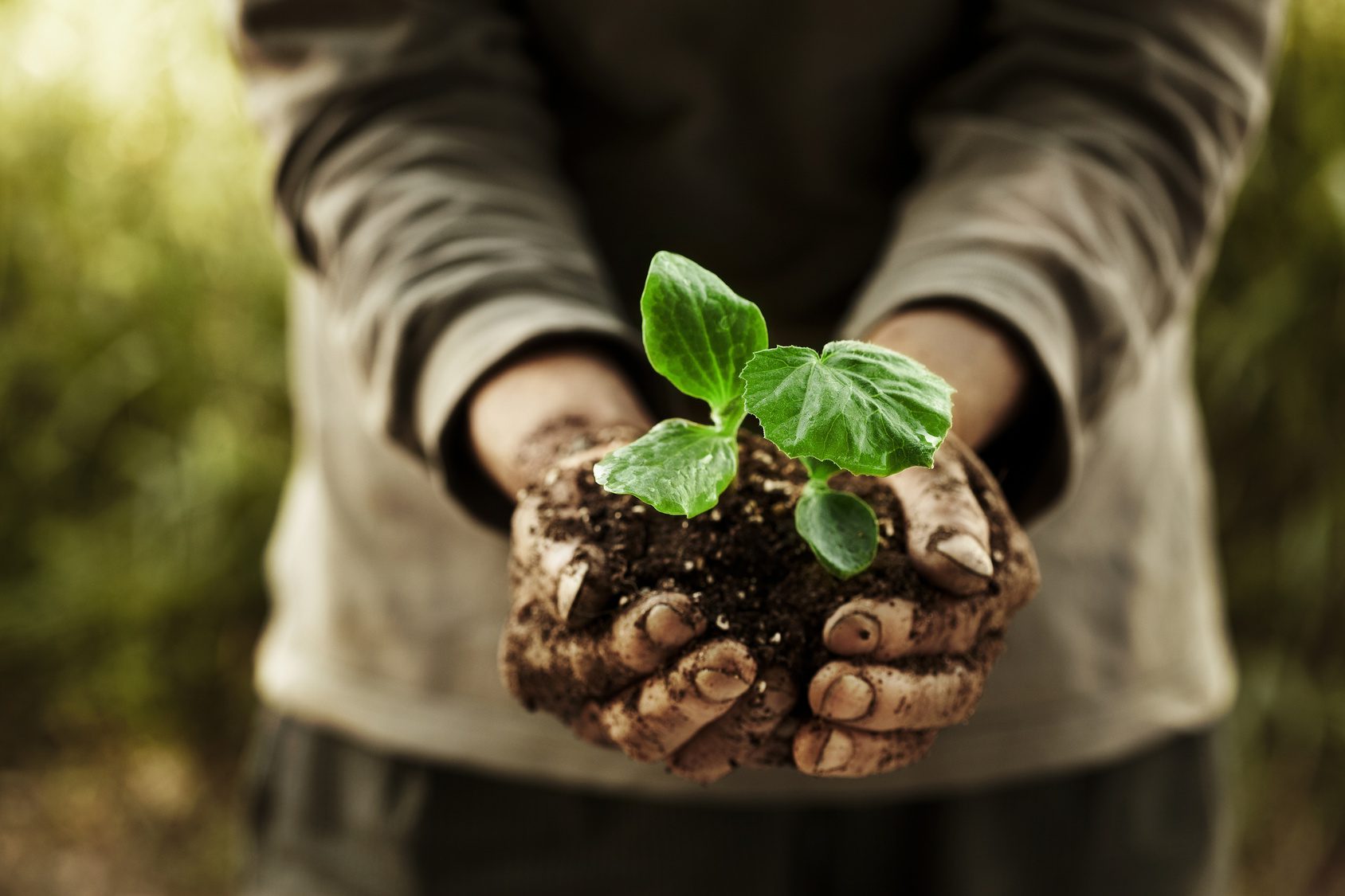 Mercato agricolo itinerante, Gal Vallo di Diano lancia avviso per i produttori agricoli