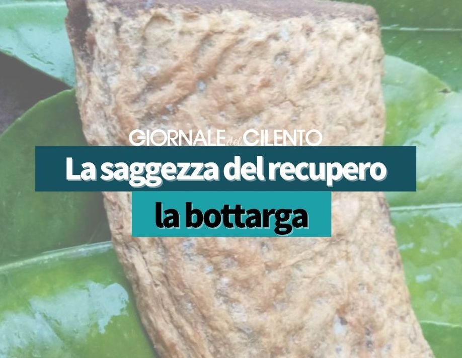 La saggezza del recupero: la bottarga a km zero