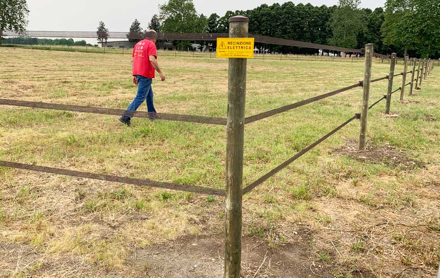 Cilento, recinzioni elettrificate: contributi ai privati dal Parco