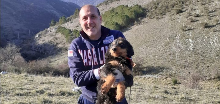Sassano, cane incastrato in un cunicolo: salvato dai vigili del fuoco