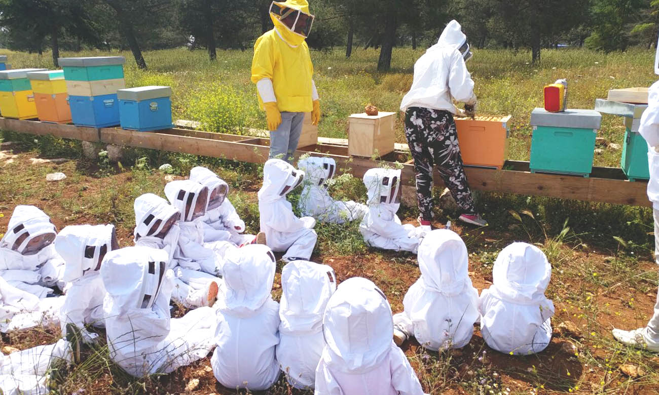 Cilento: workshop gratuito on-line sull’apicoltura nei bio-distretti