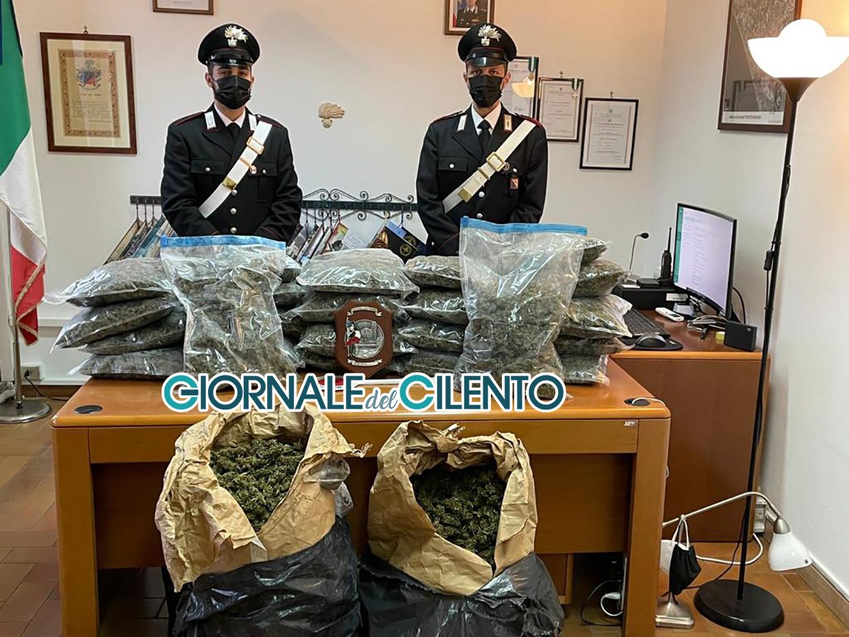 Sorpresa nel pacco: il corriere scopre 41 chili di marijuana