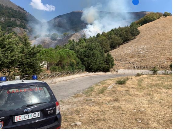 Valle del Sele, arrestato piromane: bruciava i boschi per avere terreno da pascolo