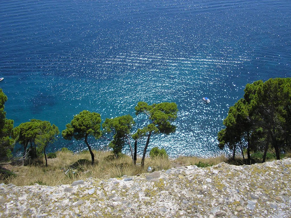 ViviCilento: «Sviluppo e sostenibilità per futuro territorio»