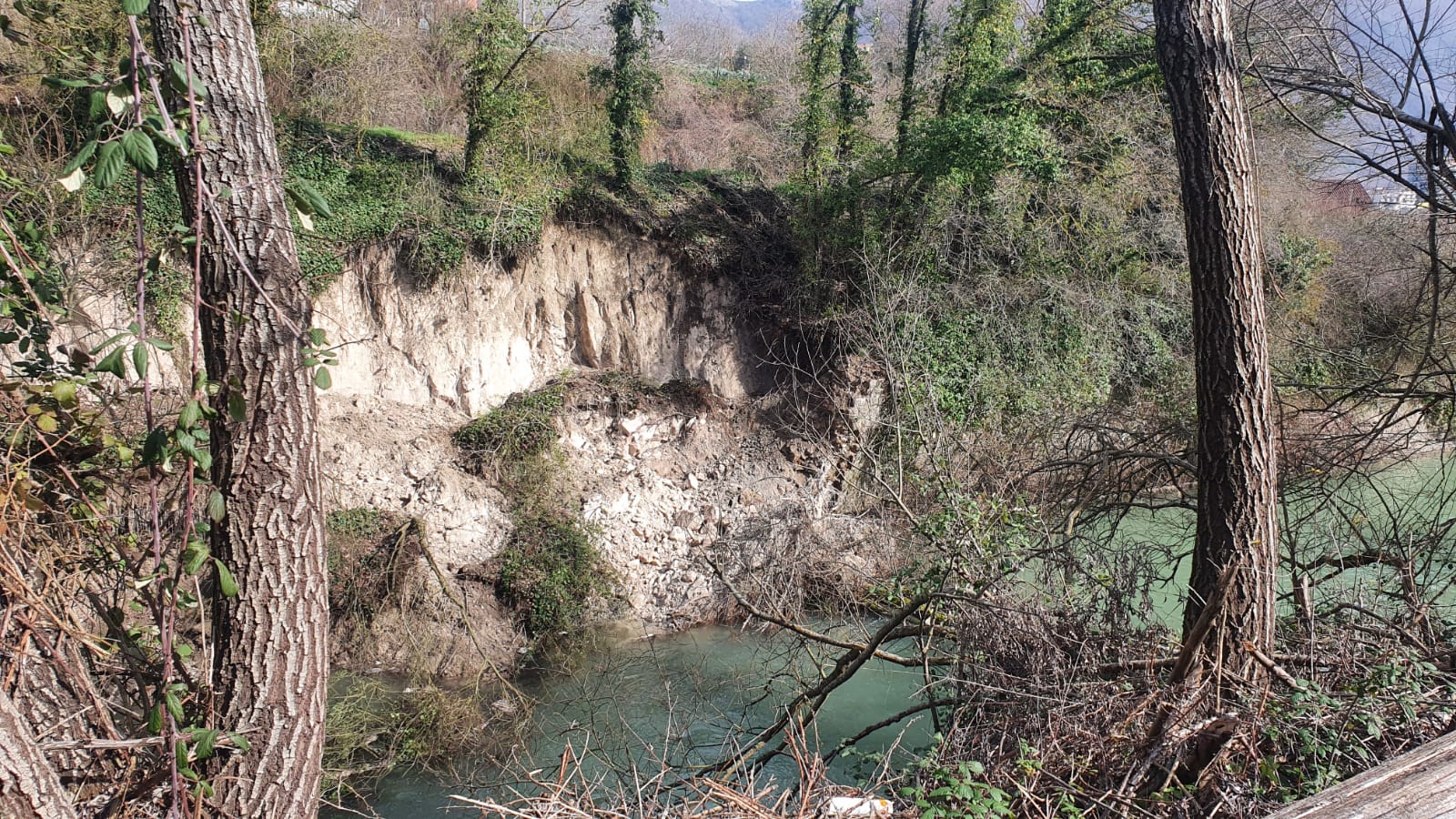 Polla, frana sponda del Tanagro: tronchi intasano il fiume