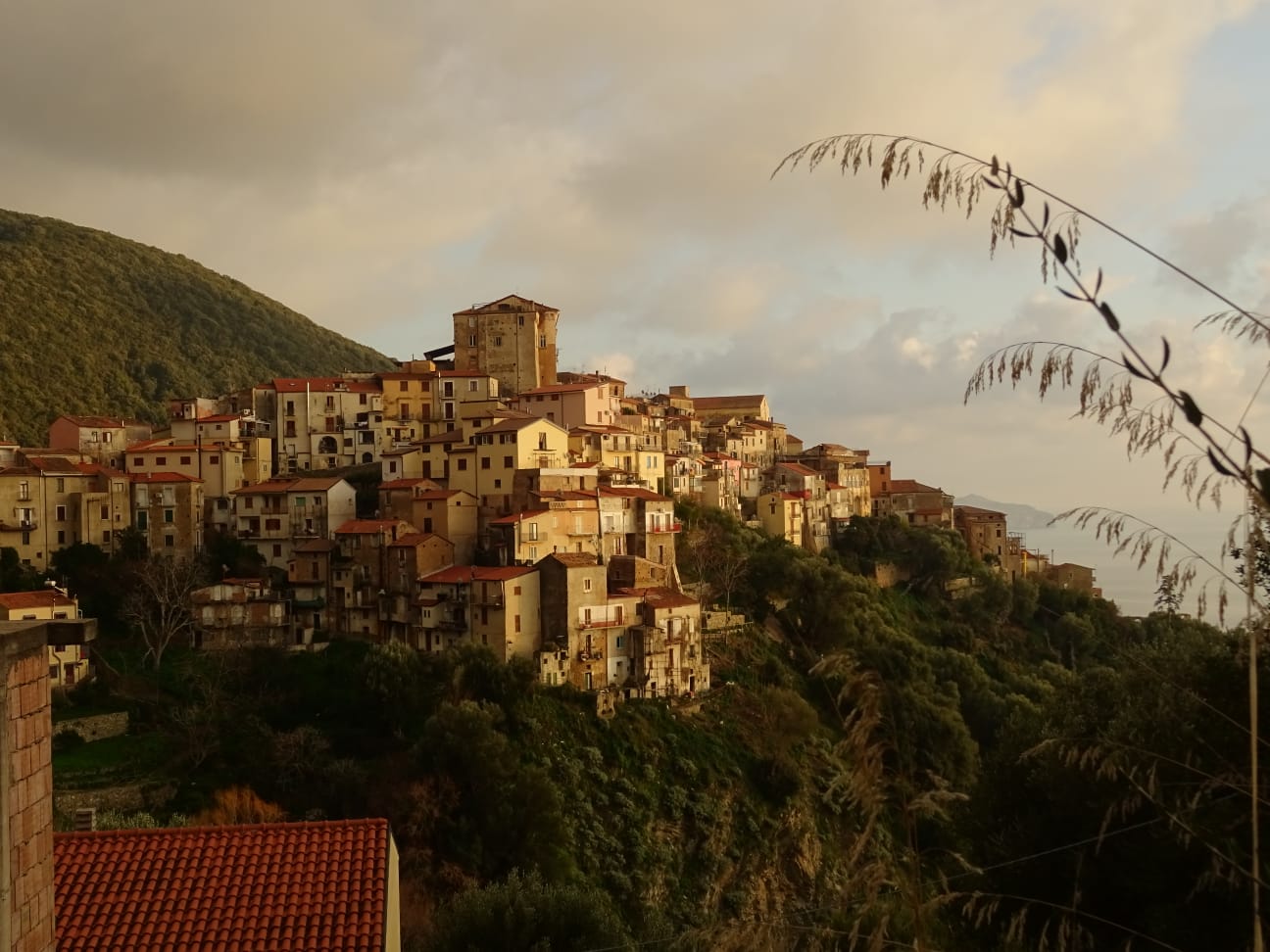 Pisciotta, mercoledì 17 febbraio riaprono le scuole