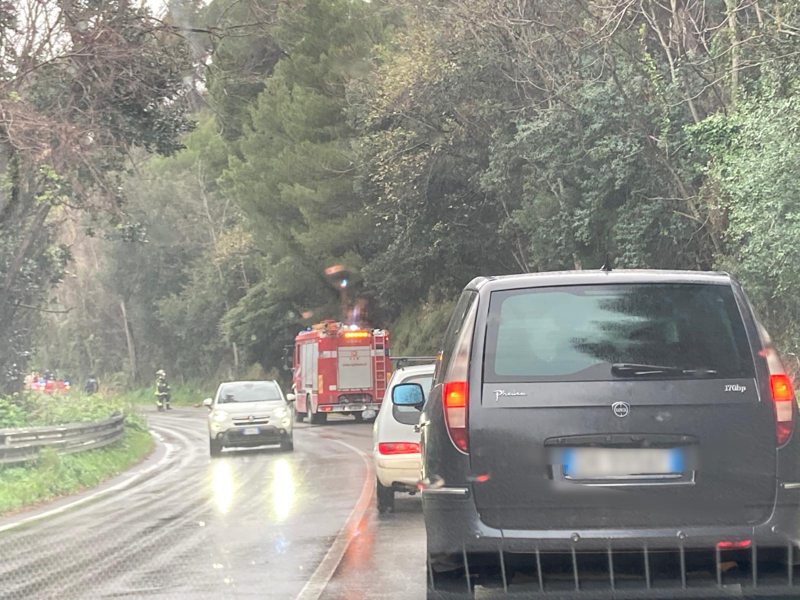 Via del Mare, Rami pericolanti sulla strada a Santa Maria di Castellabate