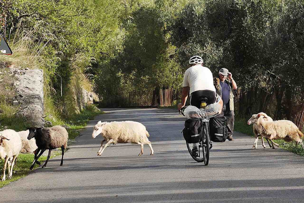 Cilento, dati da zona bianca: «Qui distanziamento naturale e spazi ampi»