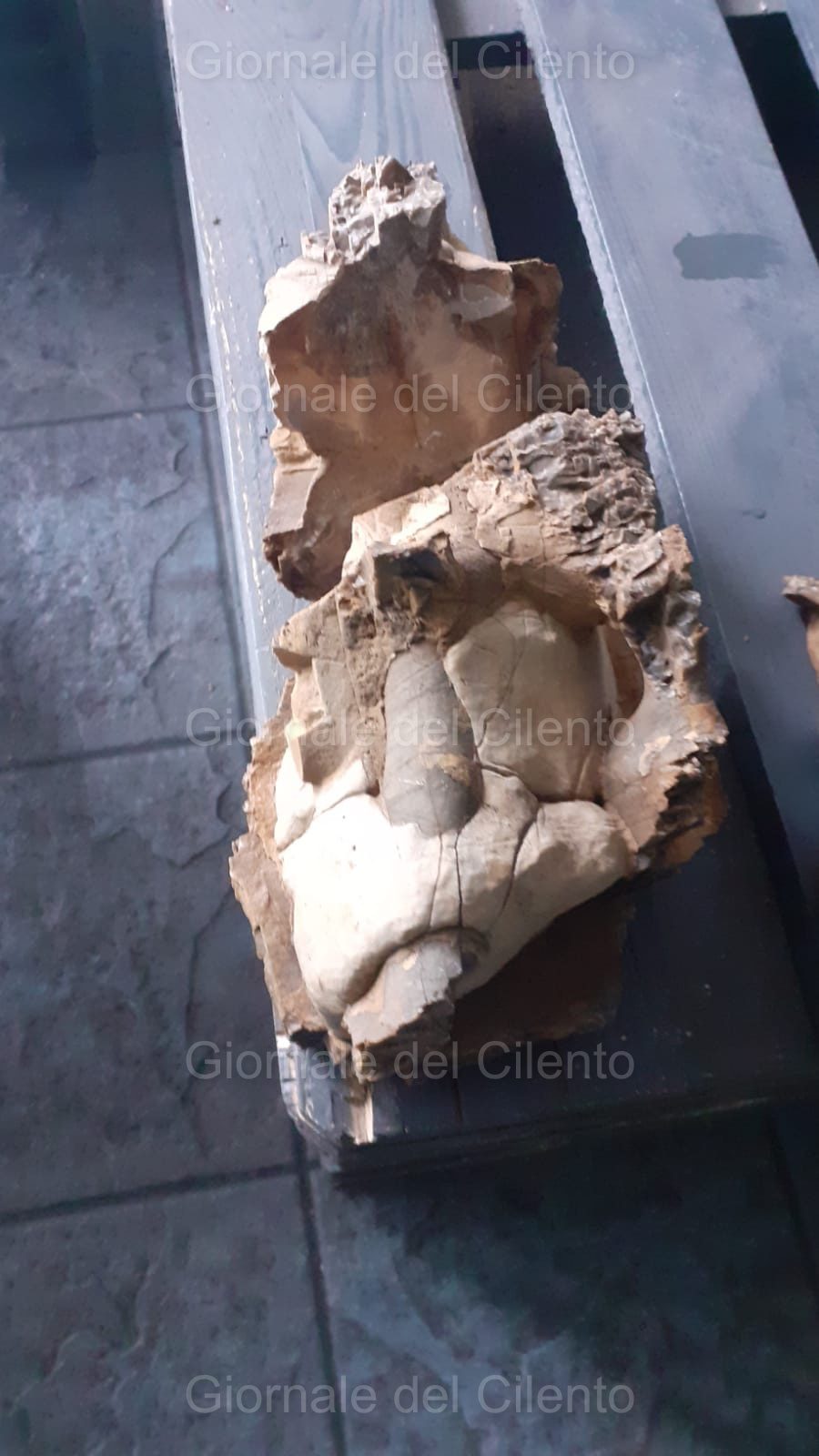 Pietra o meteorite? Frammento “sospetto” trovato in strada ad Atena Lucana
