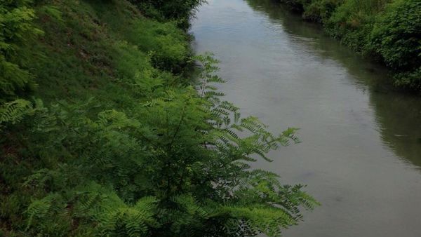 Cade in acqua nel fiume a Beauvais, salvato da due di Montesano sulla Marcellana