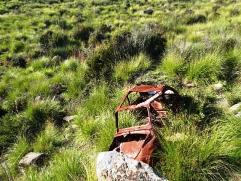 Auto bruciate abbandonate nel verde di Castellabate, al via la bonifica