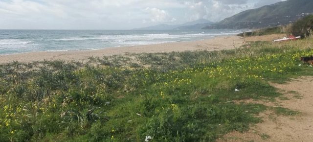 Il grido d’allarme: «Più attenzione alle dune costiere del Cilento»