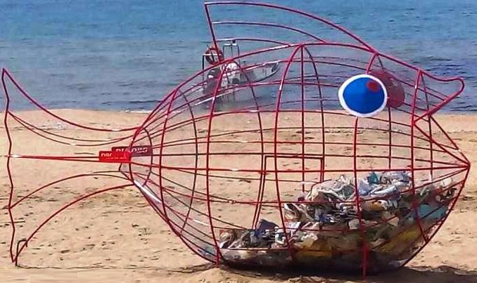 Sapri, arrivano i “pesci mangia plastica”, il rimedio per liberare spiagge dai rifiuti