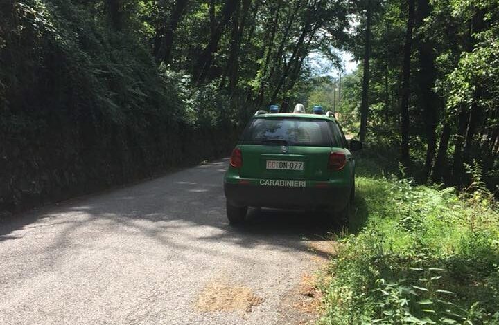 Abusivismo edilizio: blitz dei carabinieri forestali ad Ogliastro Marina