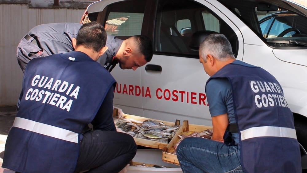 Pesce non tracciato in un ingrosso di Capaccio: sequestri e multe