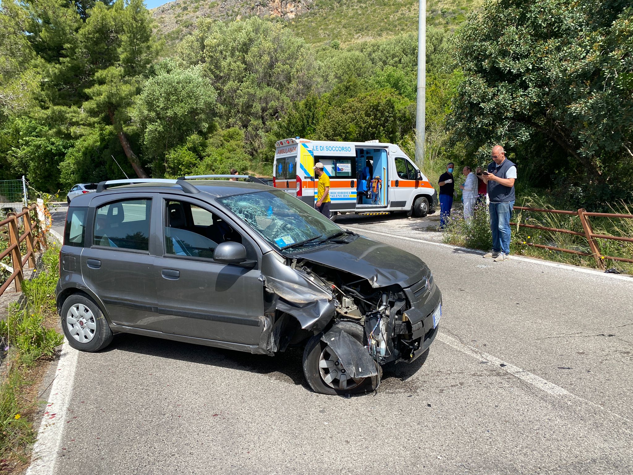 Camerota, ape nell’abitacolo: auto sbanda e si schianta. Due feriti