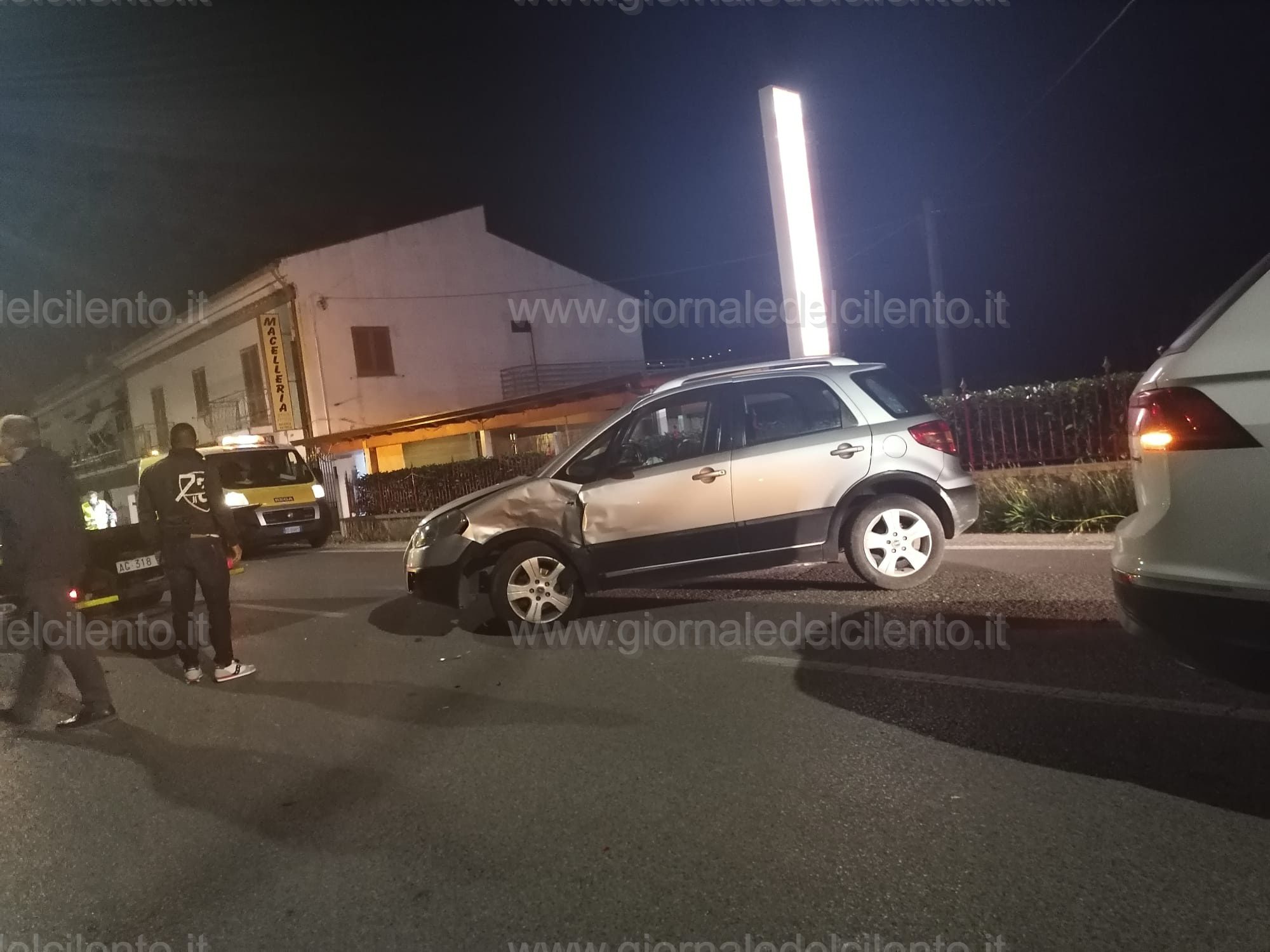 Castellabate, cinghiale attraversa la strada: incidente tra 3 auto