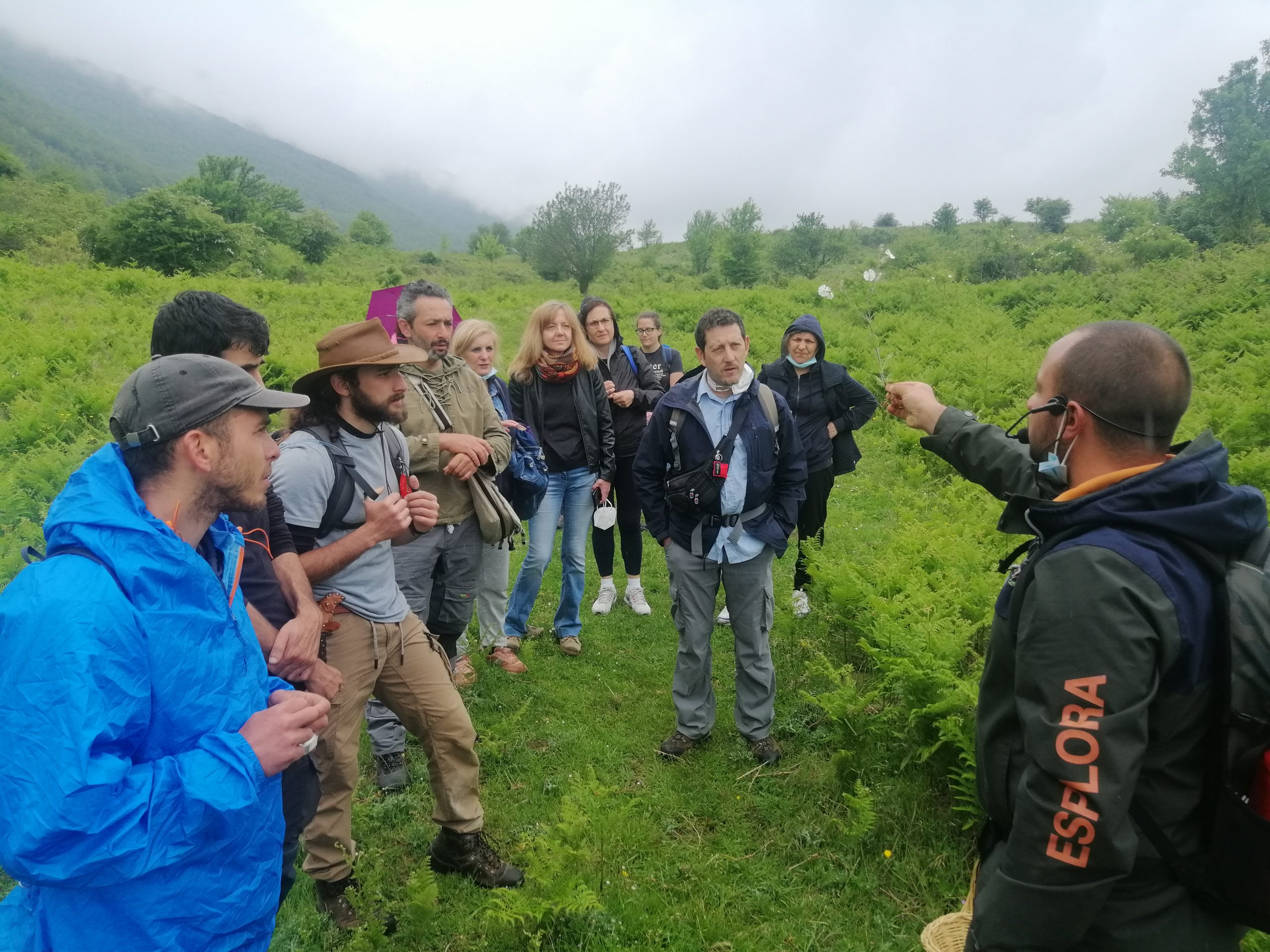 Cilento, weekend al Rifugio Motola tra erbe spontanee e commestibili