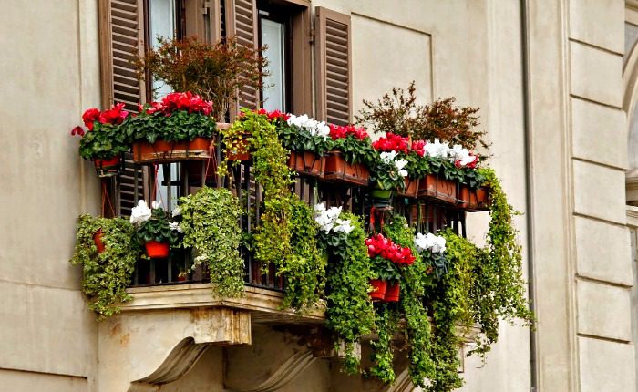 “Balconi fioriti” sboccia a Polla, il più bello non paga la Tari