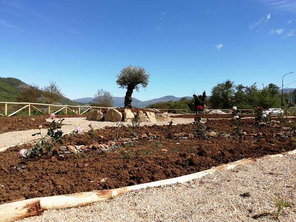 Una rosa per ogni nuovo nato a Buonabitacolo