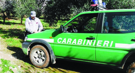 Maxi-sequestro mangimi nel salernitano, multe per 14mila euro