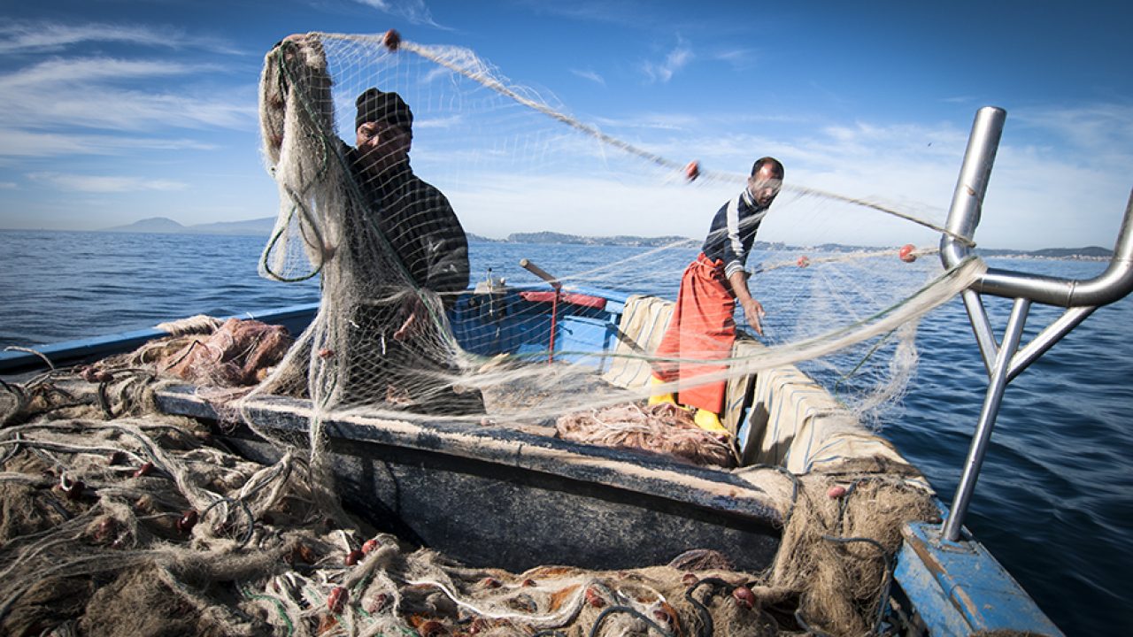 «Pescatori cilentani artigianali a rischio estinzione», il grido d’allarme del Codacons