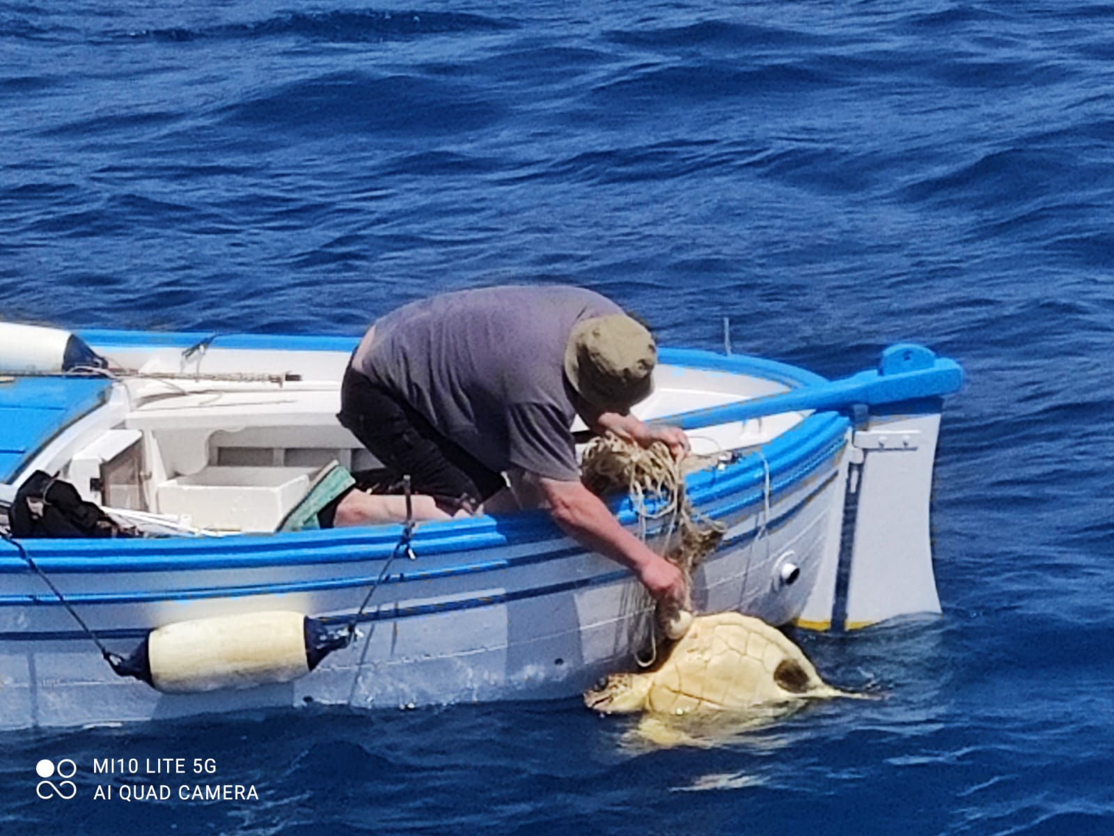 Cilento, era rimasta impigliata nelle reti: tartaruga salvata