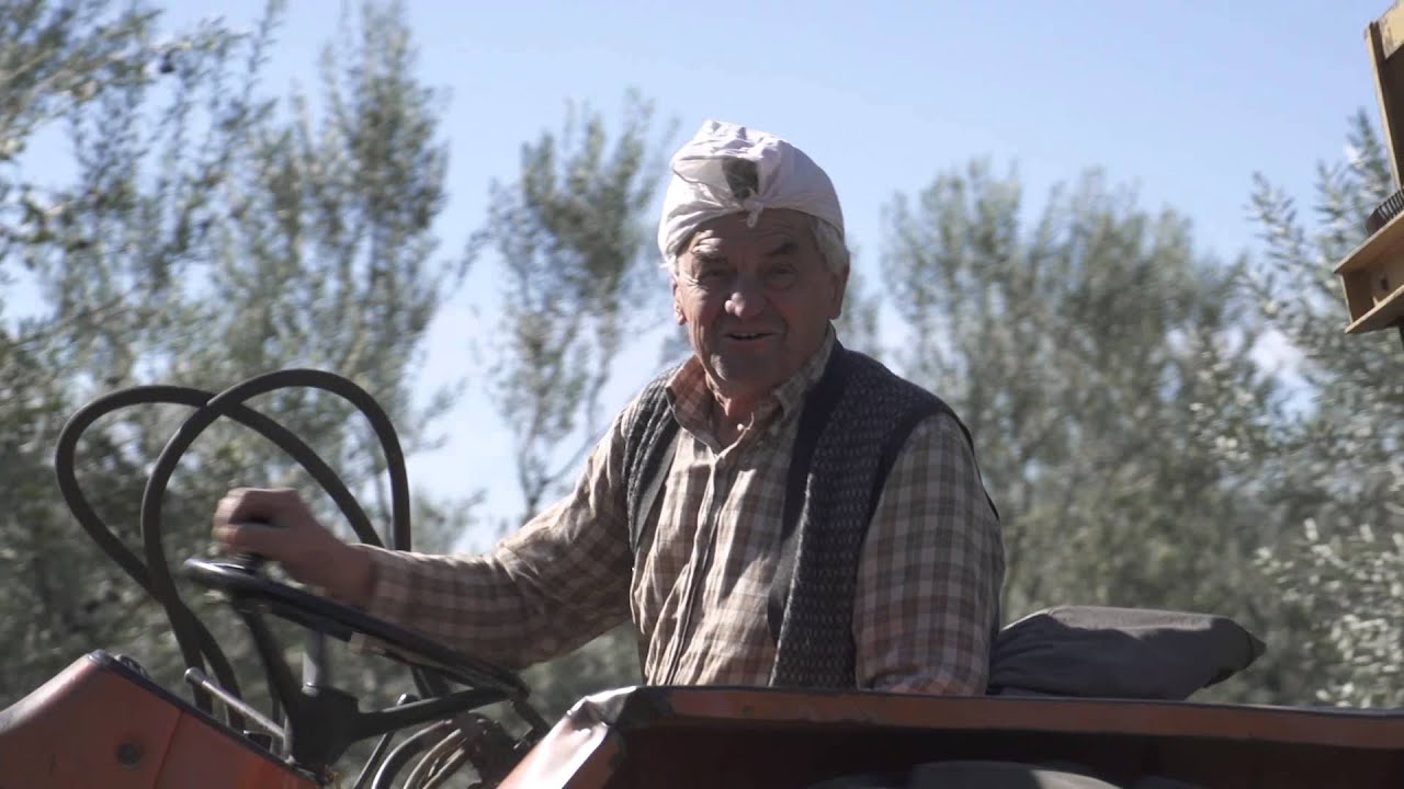 Agricoltura, è di Battipaglia uno degli olii migliori d’Italia