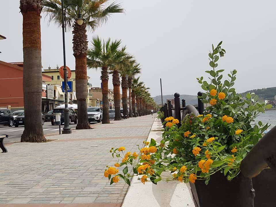 Agropoli, il lungomare si colora con piante e fiori