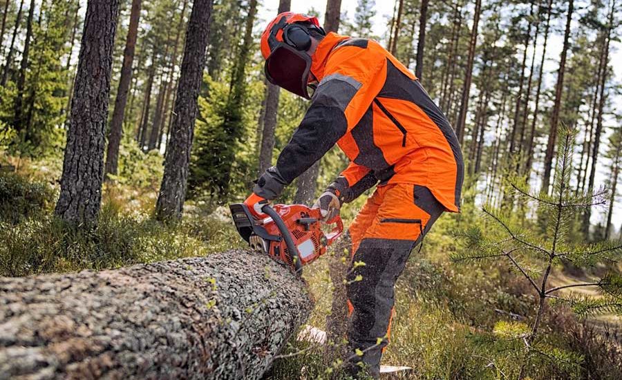 Vallo di Diano, assunti 73 idraulico forestali della Comunità montana