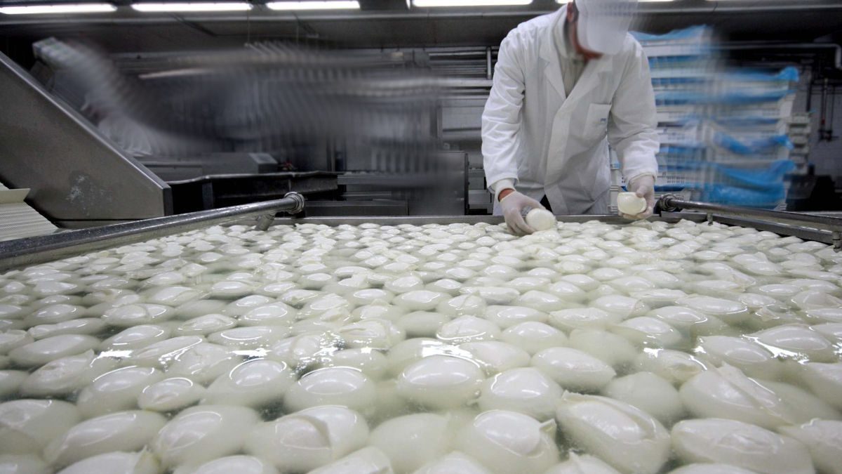 Coldiretti: «La mozzarella prodotto più taroccato in Russia»