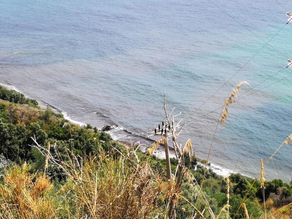 Montecorice, posidonia dragata dal porto. La Mura: «Esposto alla procura»