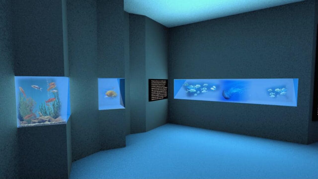 Castellabate, De Luca e Pellegrino inaugurano il nuovo acquario virtuale: «E’ il primo in Italia»