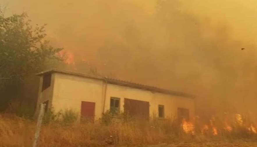 Spaventoso incendio tra Caggiano e Salvitelle: case evacuate, strada chiusa