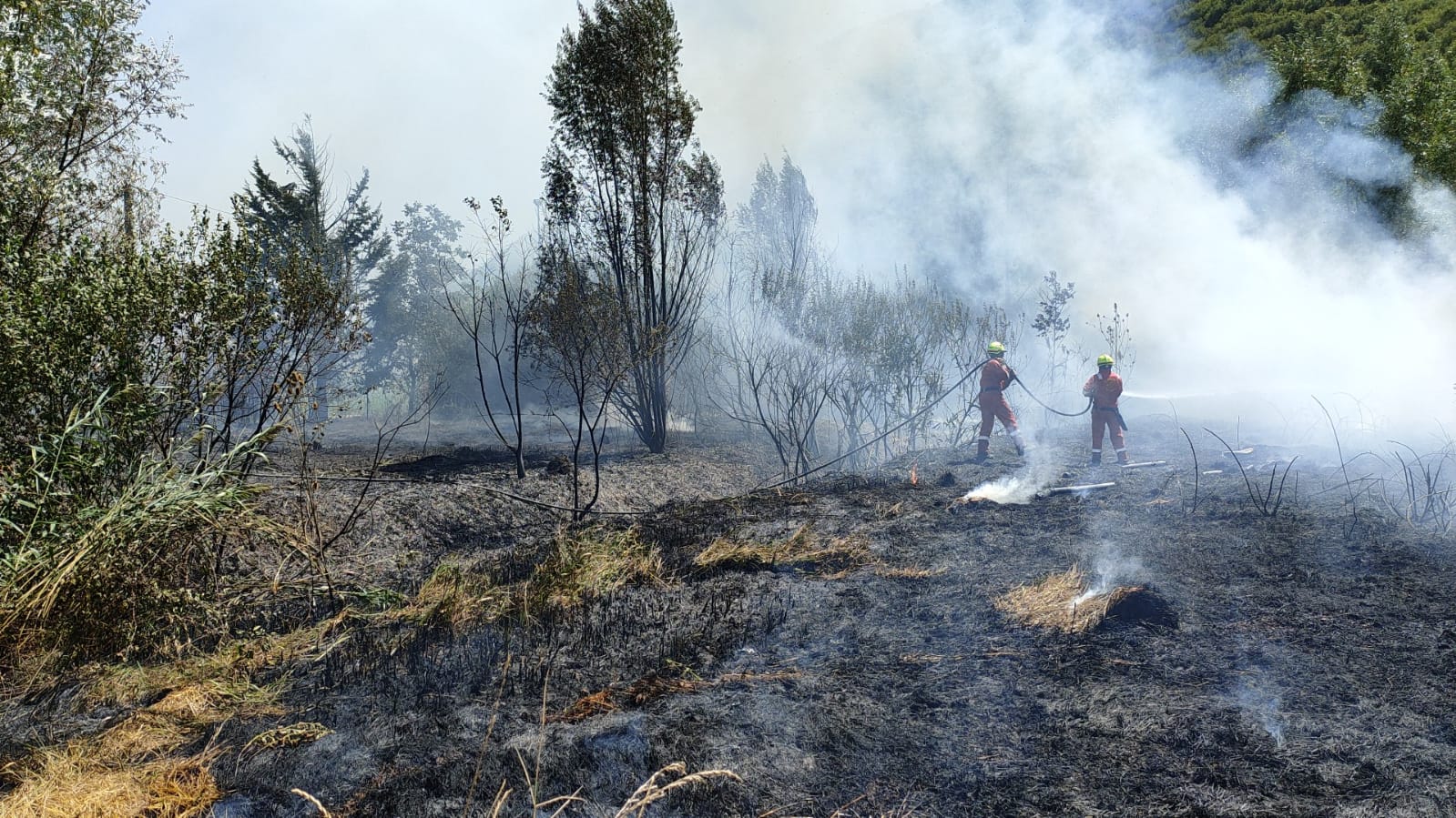 Sassano, fuoco spinto dal vento: incendio in località Fontanelle