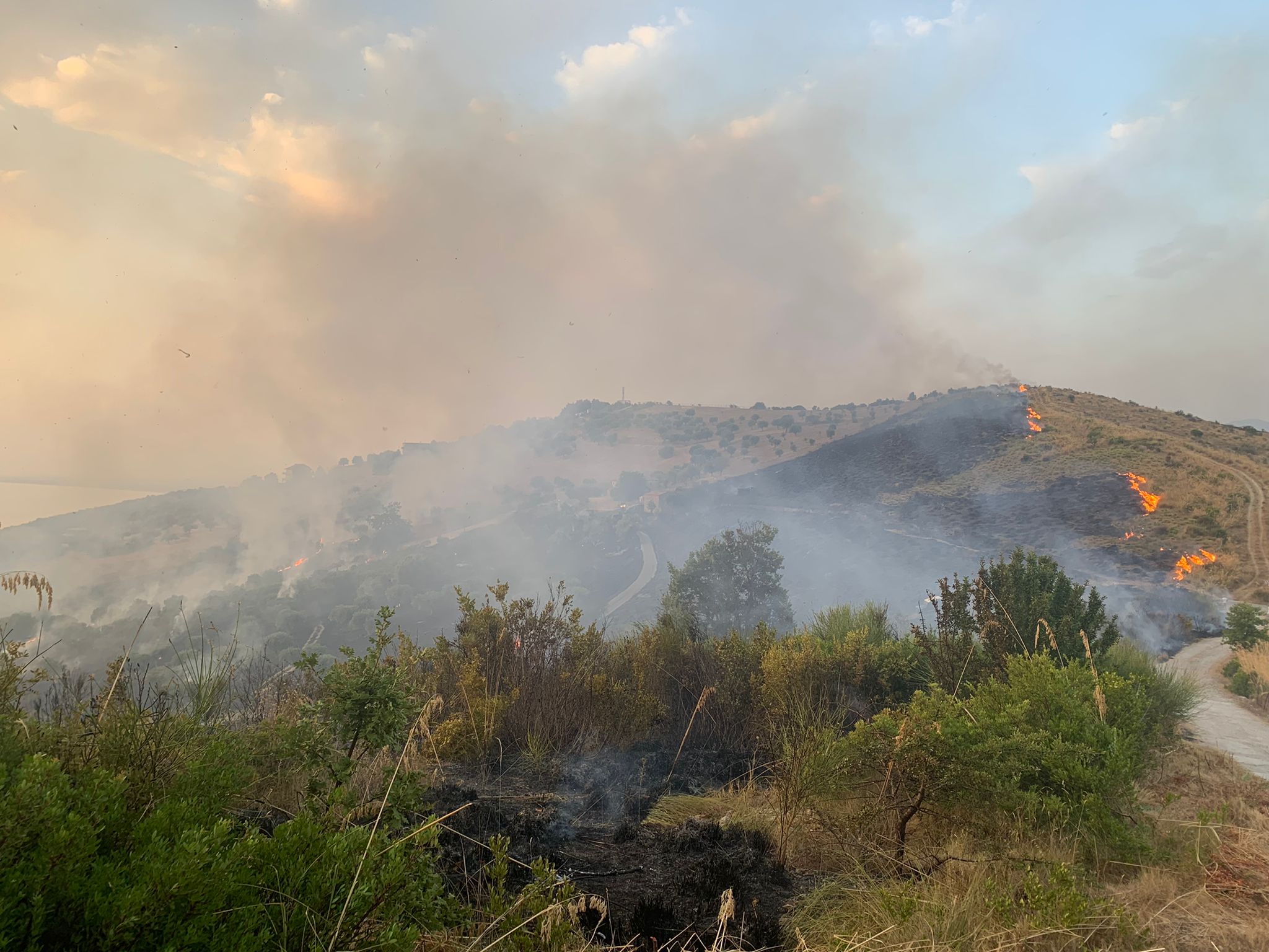 Vasto incendio tra Laureana, Castellabate e Agropoli: fiamme minacciano le case