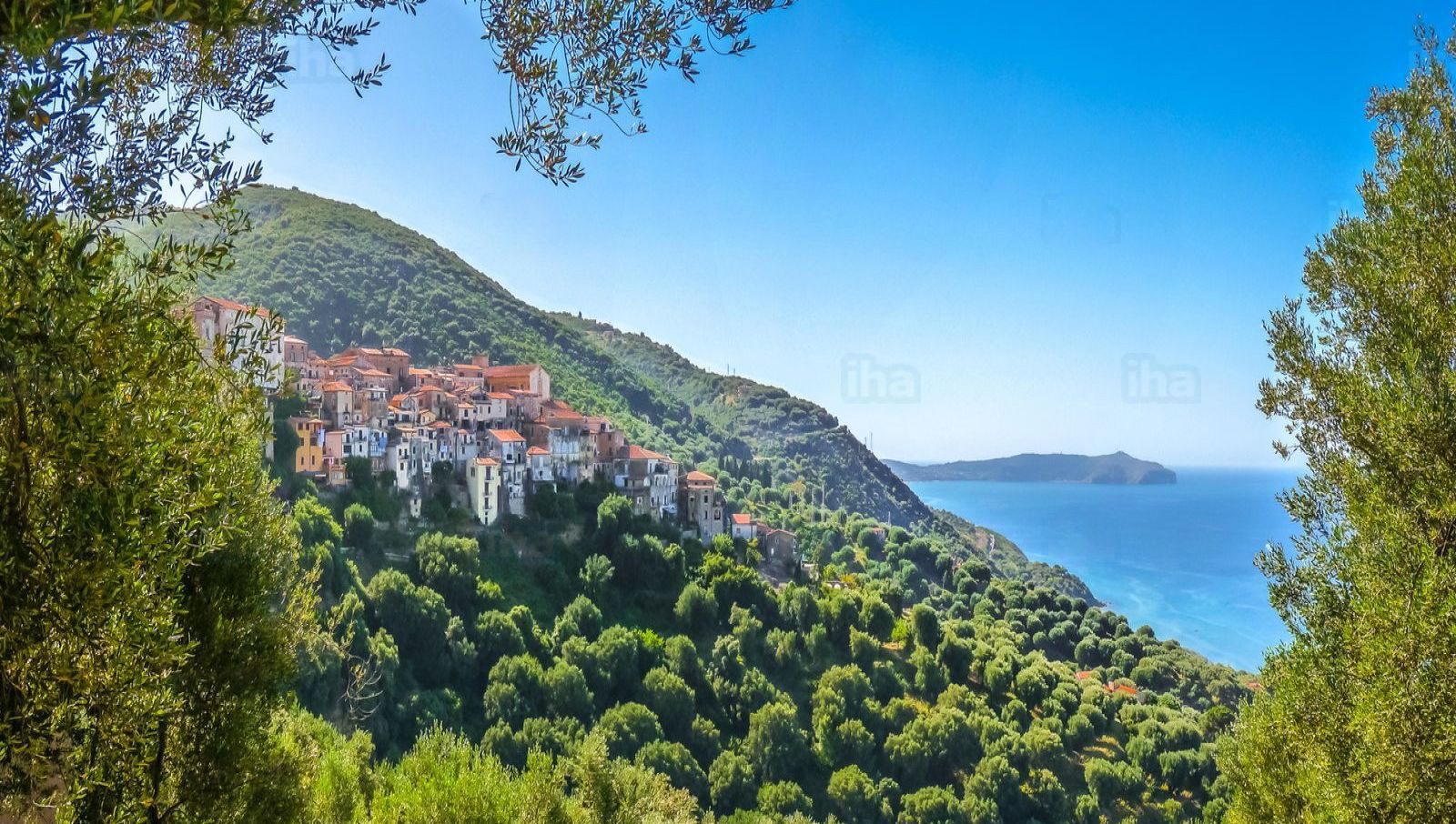 Nel Cilento una passeggiata consapevole con metodo Feldenkrais e yoga nel bosco