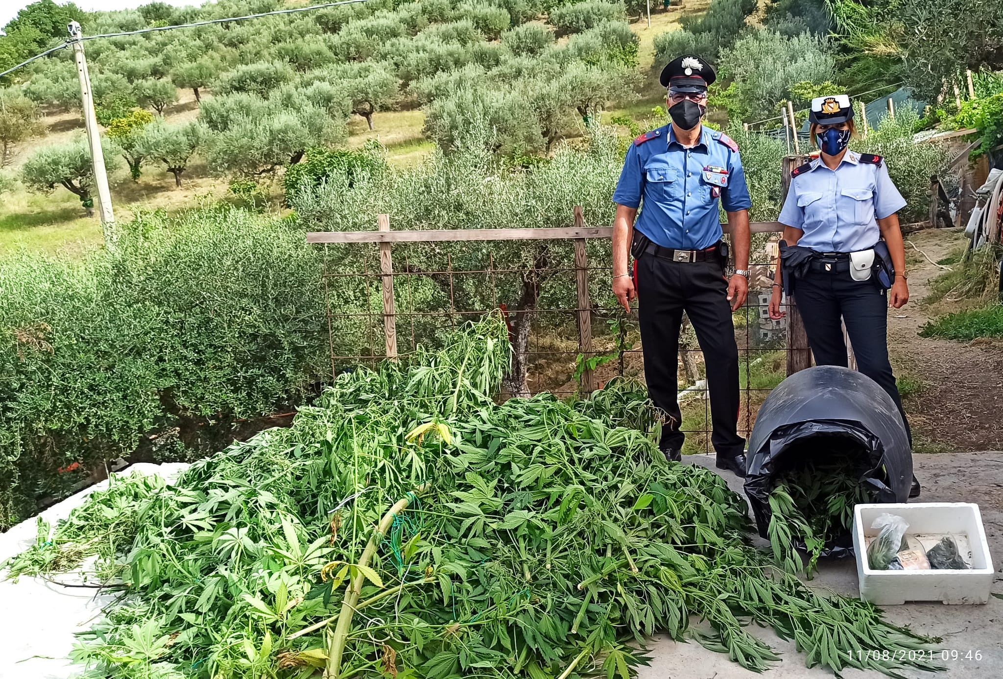 Cilento, sequestro da 34 kg di droga