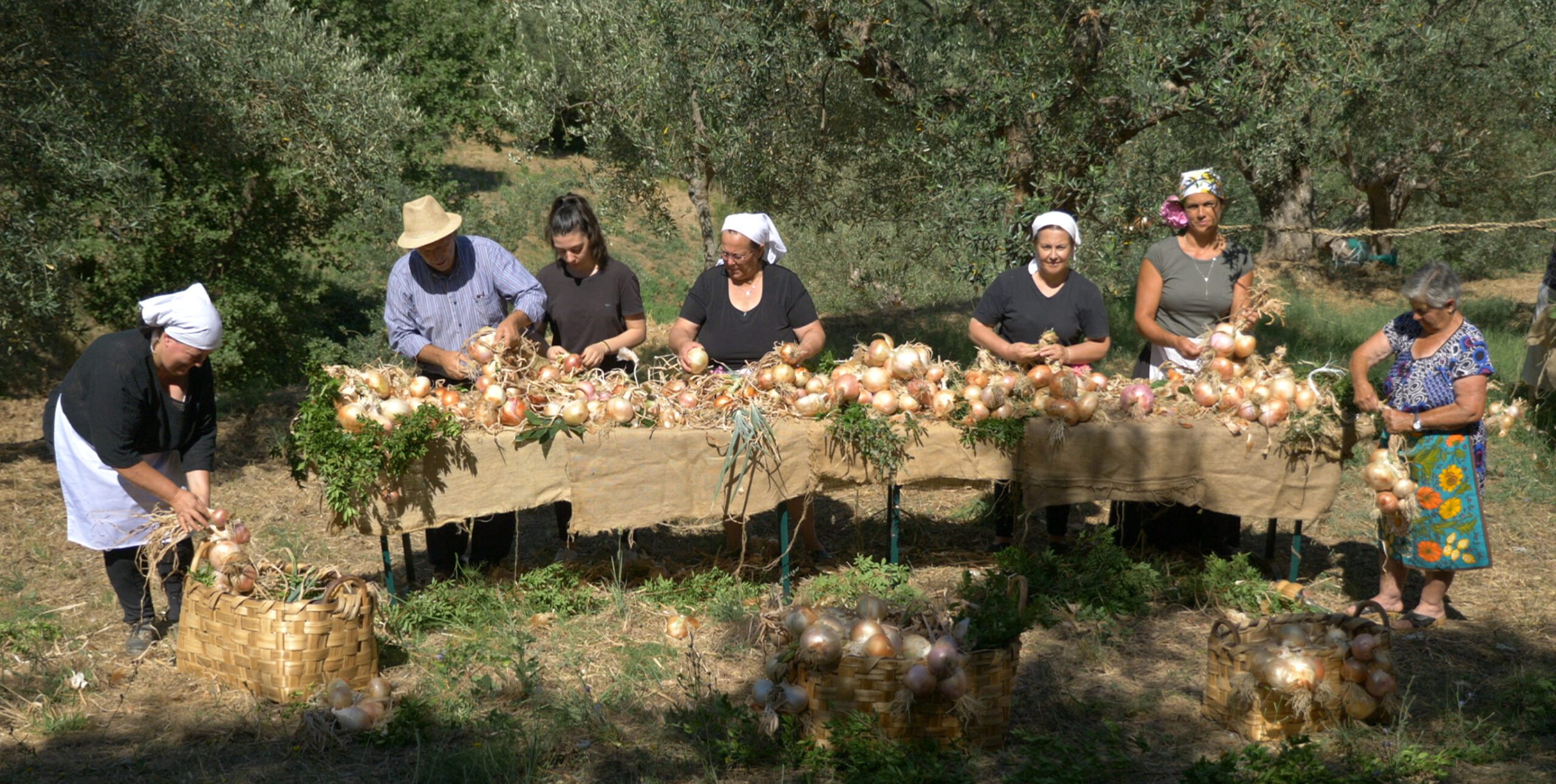 Intrecci, al cuore della terra: percorso valorizzazione culturale borgo Vatolla