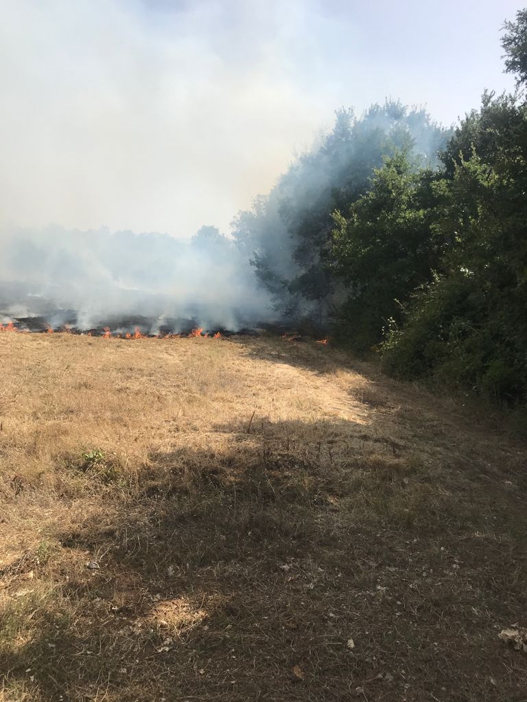 Due incendi nel Vallo di Diano, a Teggiano a fuoco un campo vicino la pista di Go Kart
