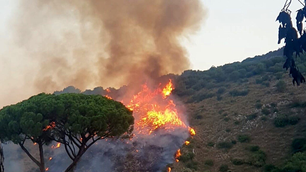 Brucia il Vallo di Diano: distrutti ettari di macchia mediterranea