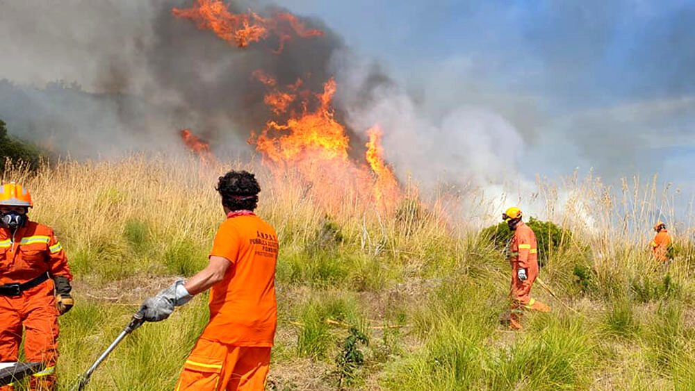 Acciuffato il piromane del Vallo di Diano: in auto taniche e attrezzi incendiari