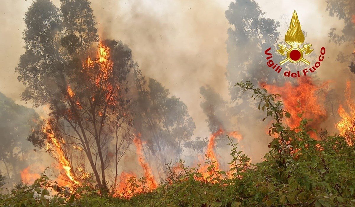Vallo di Diano, settembre inizia nel segno degli incendi: roghi ad Atena Lucana