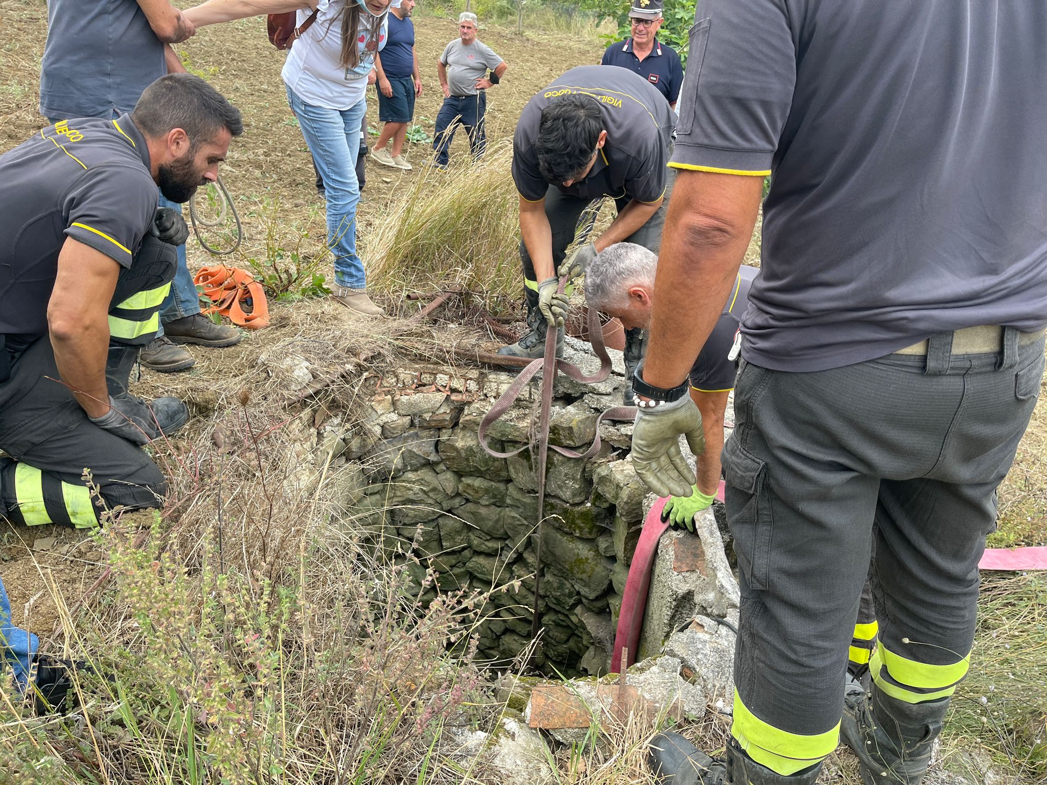 Caselle in Pittari, asino cade nel pozzo: salvato dai vigili del fuoco