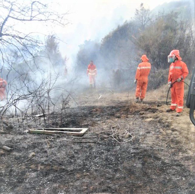 Salento, 15 operai della comunità montana Gelbison Cervati per domare un incendio