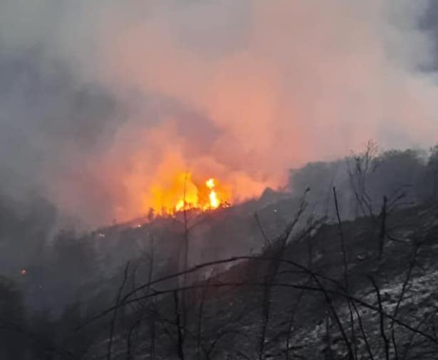 Castellabate, ordinanza sindacale per prevenire gli incendi boschivi